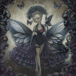 1_PAPILLON-NOIR