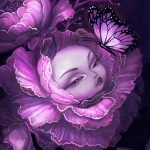 PURPLE-HAZE